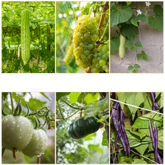 Polyester Pergola for Climbing Plants DIY Net Garden Plant Support