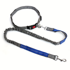 Elastic Pet Dog Leash for Outdoor Running and Walking