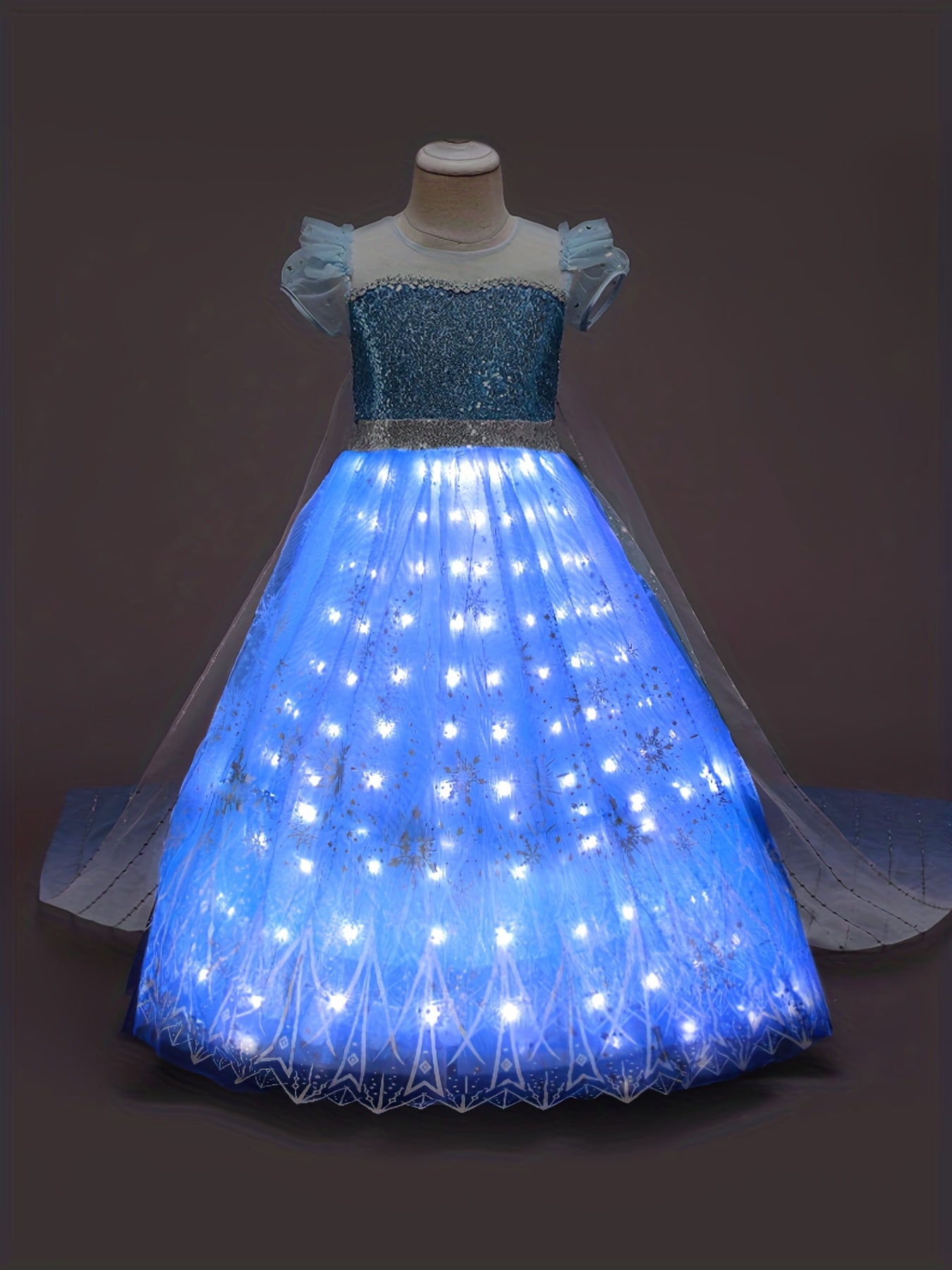 Princess LED Dress Sequin Puff Sleeve Tulle Costume