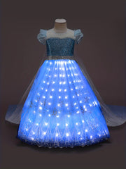 Princess LED Dress Sequin Puff Sleeve Tulle Costume
