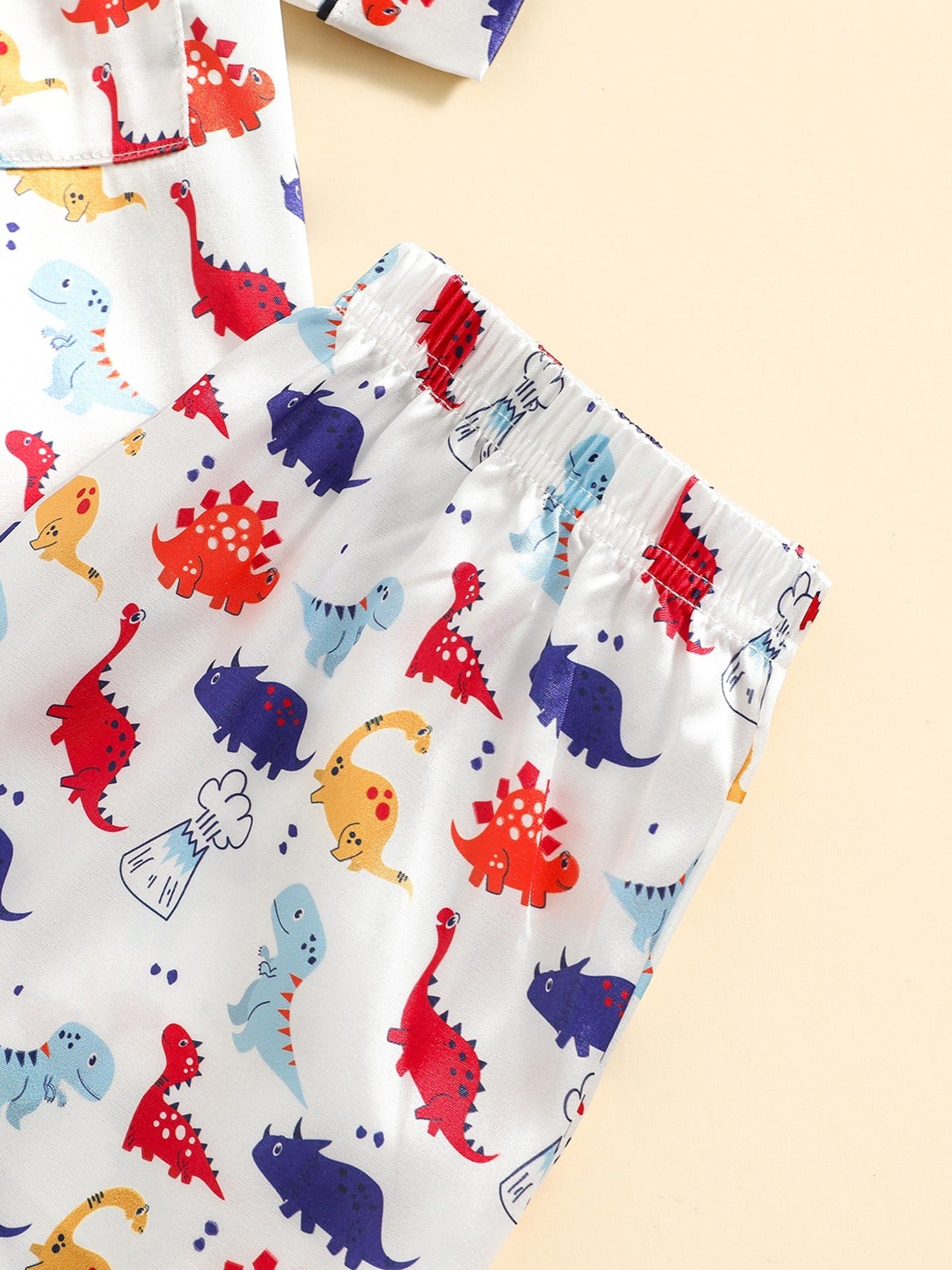 2pcs Boys Dinosaur Print Button Loungewear