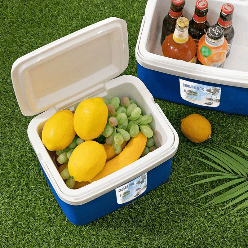 26L Plastic Insulated Cooler Box with Lid and Handle