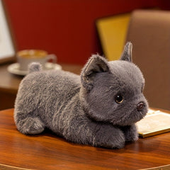Bulldog Plush Toy - Perfect Gift for Friends & Family