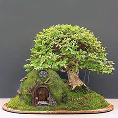 8pcs Mini Fairy Door And Window Set for Garden Bonsai Terrarium