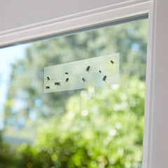 5pcs Sticky Insect Board Fly Trap Transparent Sticky Fly Stickers