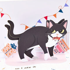 Funny Cat Birthday Card Pop Up Greeting Card For Friends Parents Siblings
