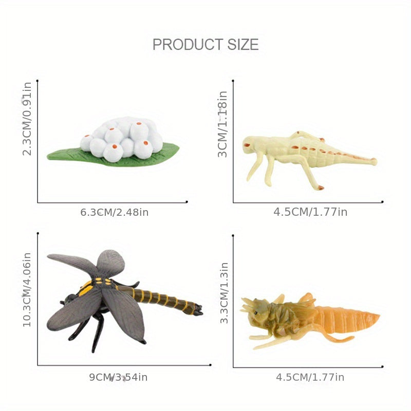 Mini Animal Dragonfly Growth Cycle Set Teaching Toy Gift
