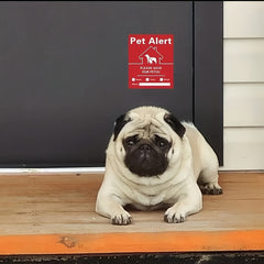 5pcs Pack Pet Tips Window Stickers UV Fade Resistant