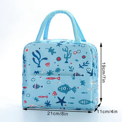 Insulated Bag Cartoon Lunch Box Bag Office School Picnic Beach Supplies