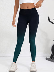 Ombre Workout Leggings Seamless High Waisted Tummy Control Yoga Pants