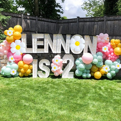 140Pcs Daisy Balloon Garland Arch Kit Flower Theme Party Decoration