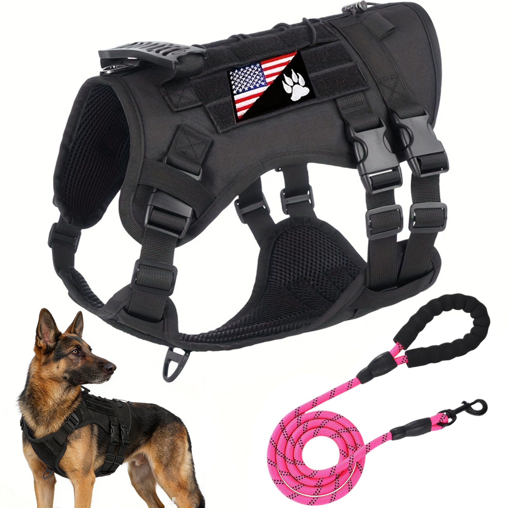 img_4099160