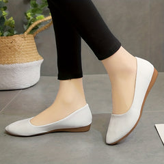 Women's Pointed Toe Ballet Flats Soft Sole Slip On Walking Shoes