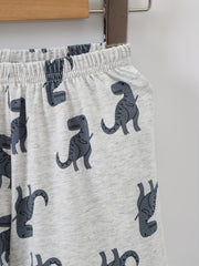 Boys Dinosaur Graphic Print T shirt & Shorts Set For Summer