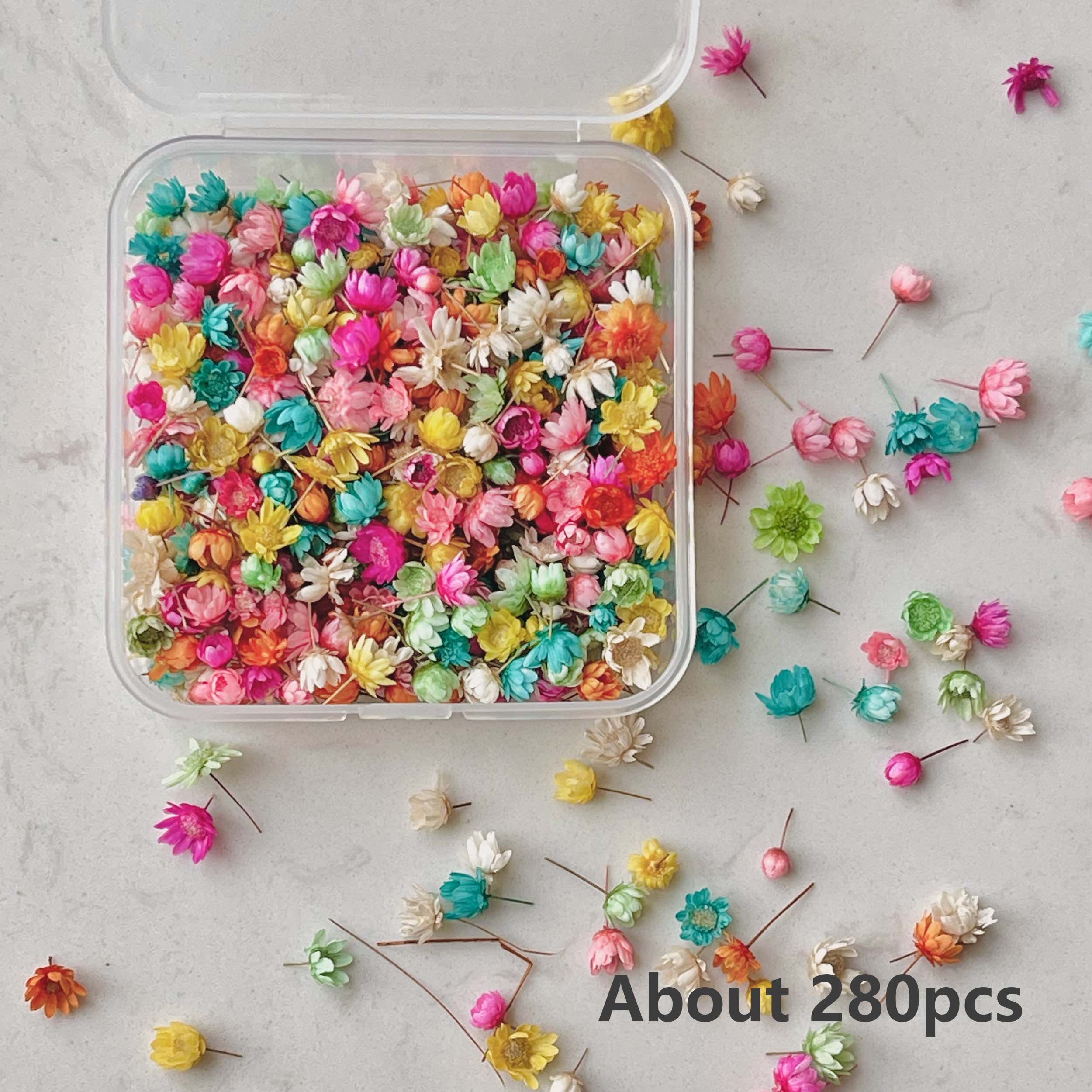 280pcs Small Star Flowers Dried Pressed Flowers Bulk For Resin DIY Garland