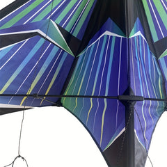 Double Line Kite for Beach Park Yard Outdoor Entertainment