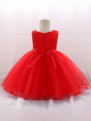 Baby Princess Birthday Dress with Flower Decor