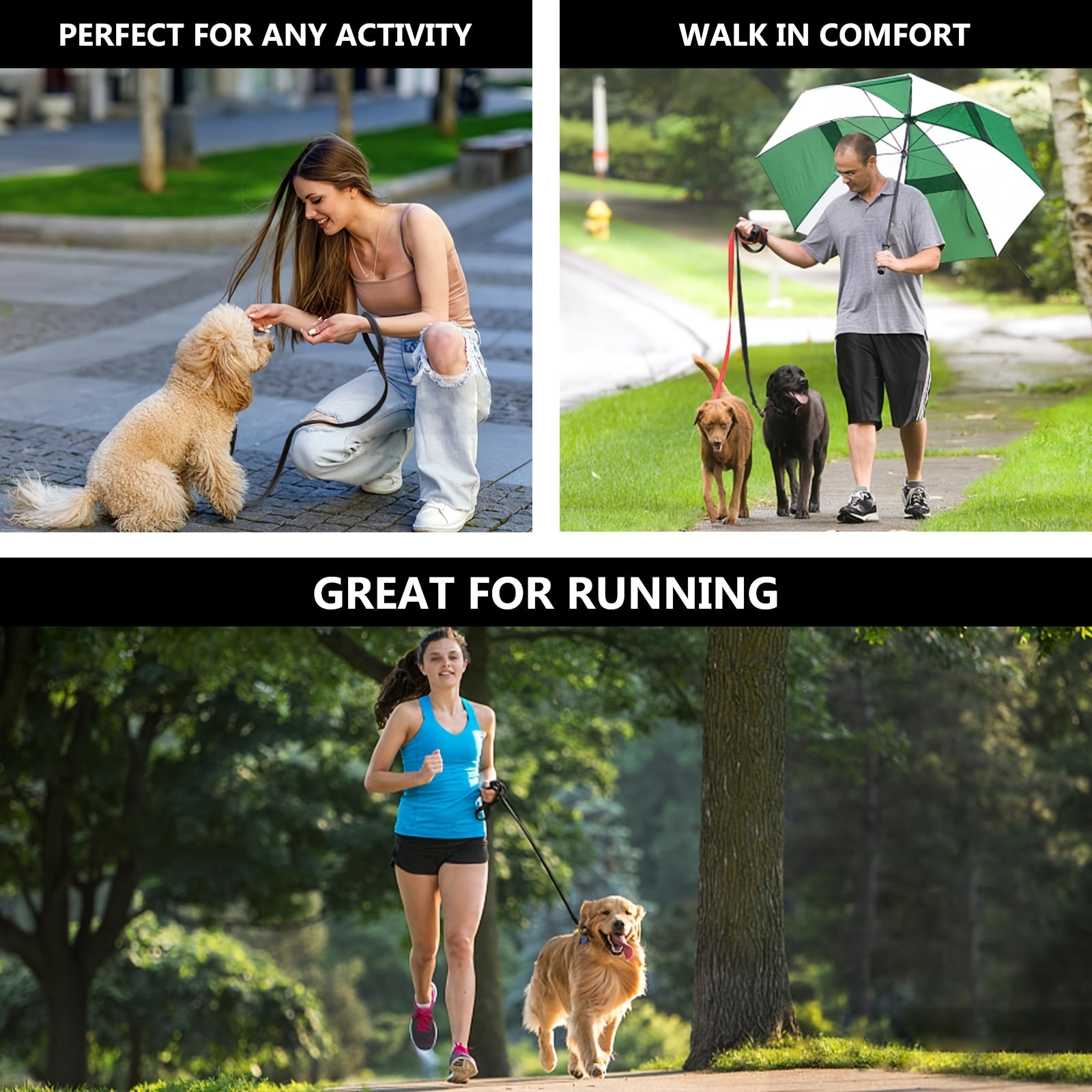 img_4063161