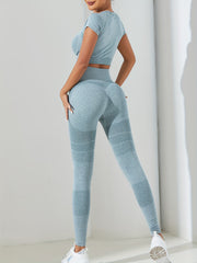 2pcs Stretchy Crop Top & Leggings Workout Set for Women