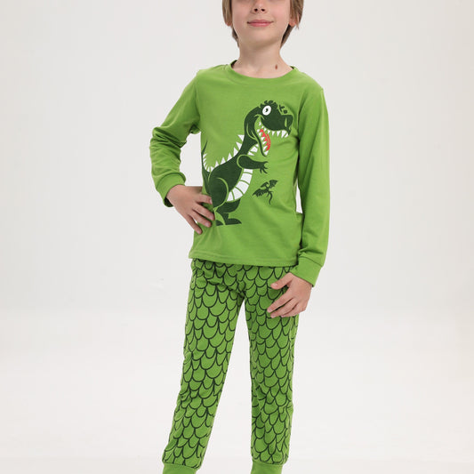 Boys 2pcs Dino Print Top & Pants Pajamas Set