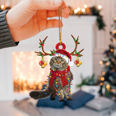 Maine Coon Cat Christmas Hat Reindeer Mirror Accessory