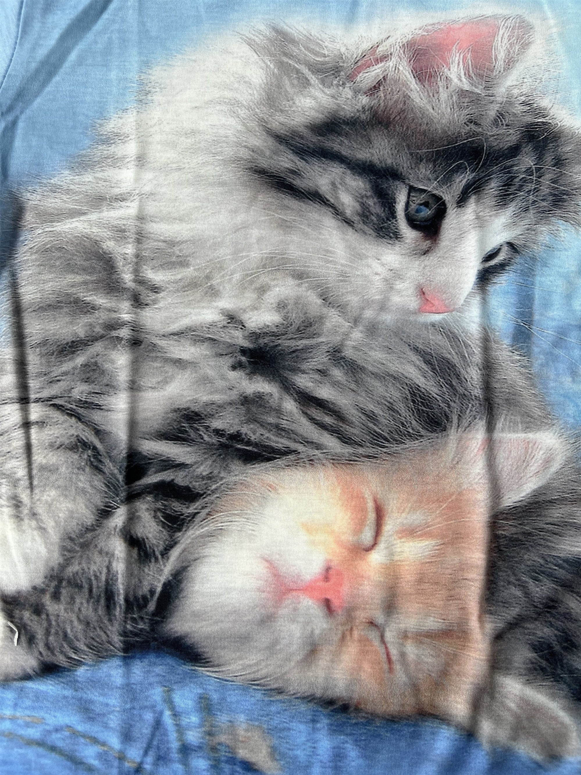 3D Kitten Graphic T Shirt for Boys & Girls - Summer Outfit