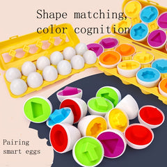 12 Sets of Eggs Shape Matching Puzzle for Early Learning