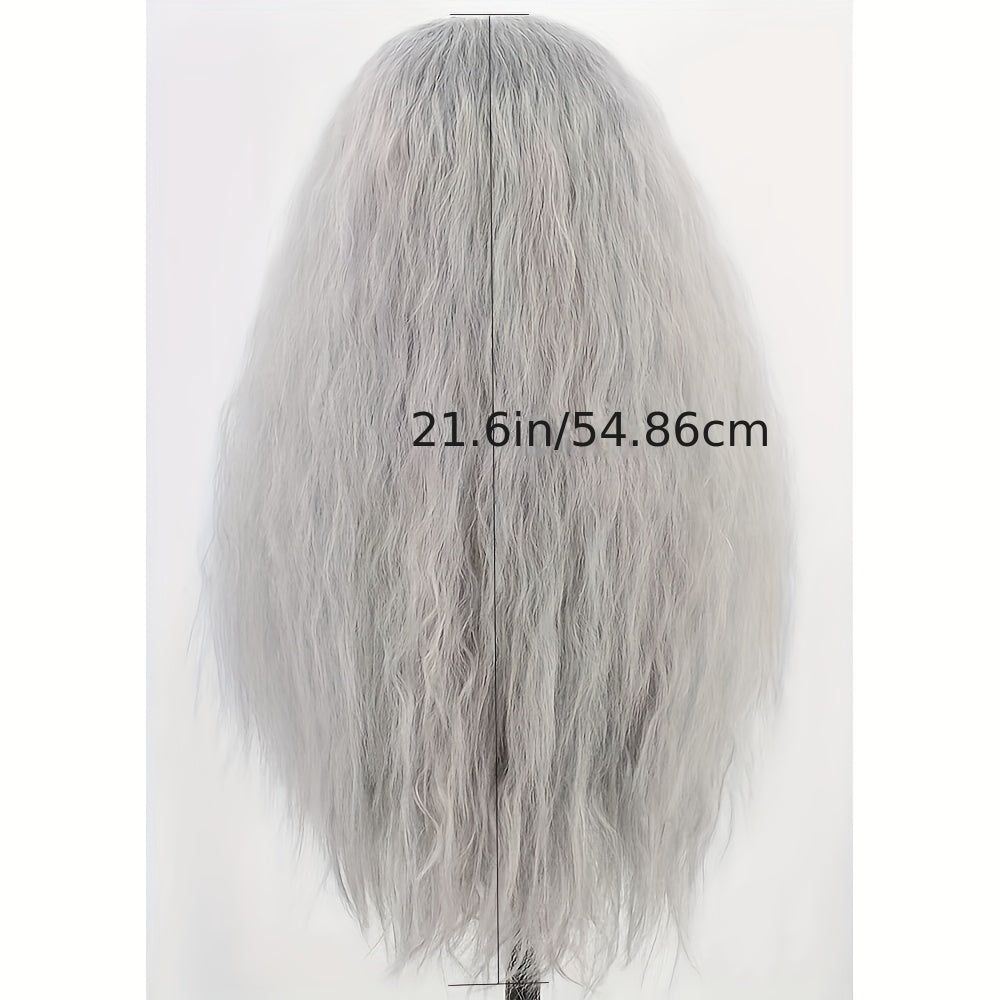 Men's Gray Wig And Mustache Wizard Costume Accessories