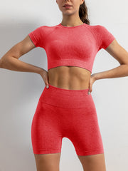 2pcs Yoga Sports Sets Quick Drying Short Sleeve Sports Cropped Tank Tops