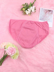 6 Pack Women's Plus Size Seamless High Waist Panties