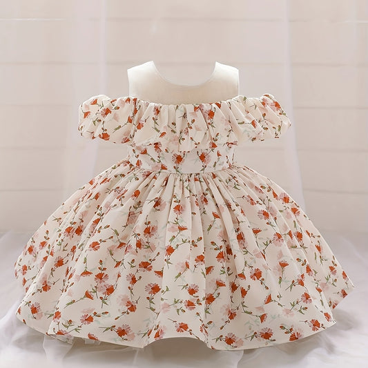Girls Floral Print Puffy Dress Baby One Year Birthday Party Gown