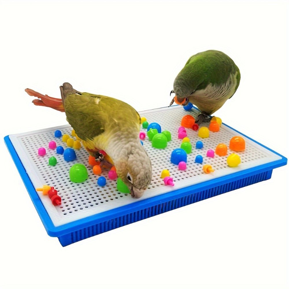 img_7388262