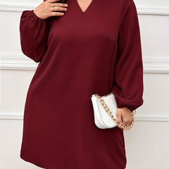 Solid Lantern Sleeve Notched Neck Dress