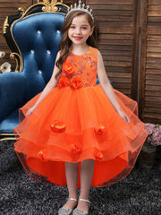 Toddler Girl's Formal Dress Flower Princess Dress