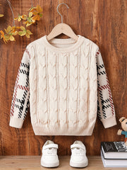 Boys Twist Pattern Sweater Round Neck Long Sleeve Warm Knit Pullover Top