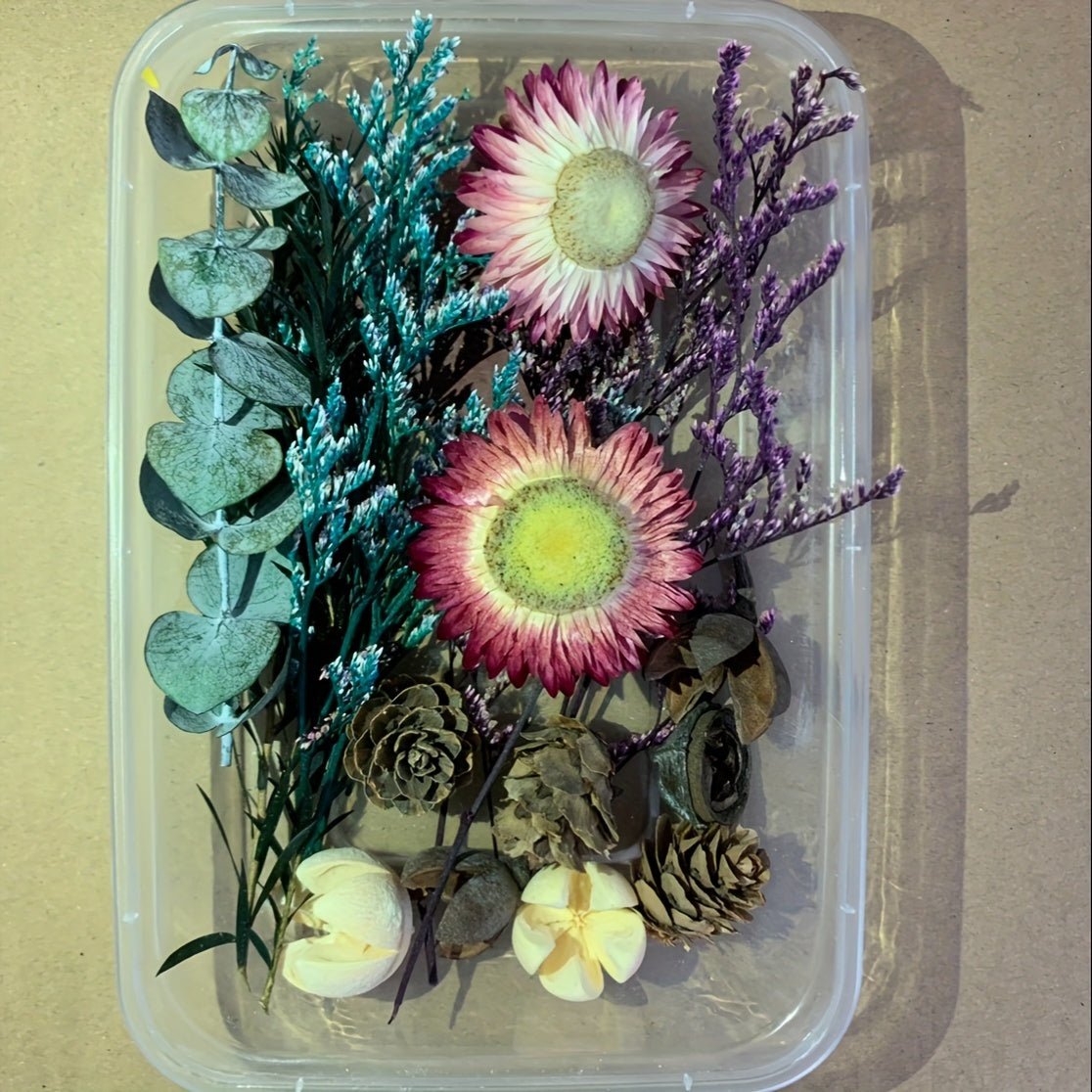 Dried Fruits & Flowers DIY Kit Pine Nuts Cinnamon Ornaments