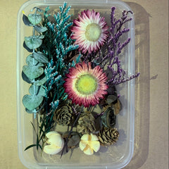 Dried Fruits & Flowers DIY Kit Pine Nuts Cinnamon Ornaments