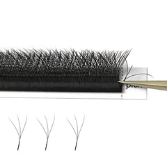 Matte 3D W Individual Lashes for Eyelash Extensions