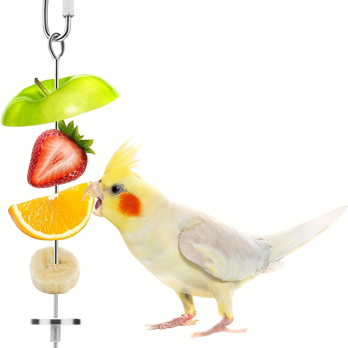 2pcs Stainless Steel Bird Skewer for Parrots and Small Animals