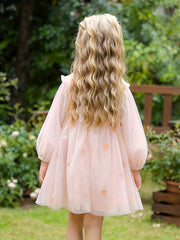 Blossoms Embroidery Mesh Collared Princess Dress For Girls