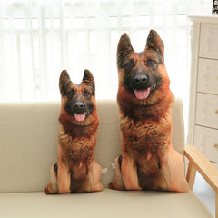 img_2923748