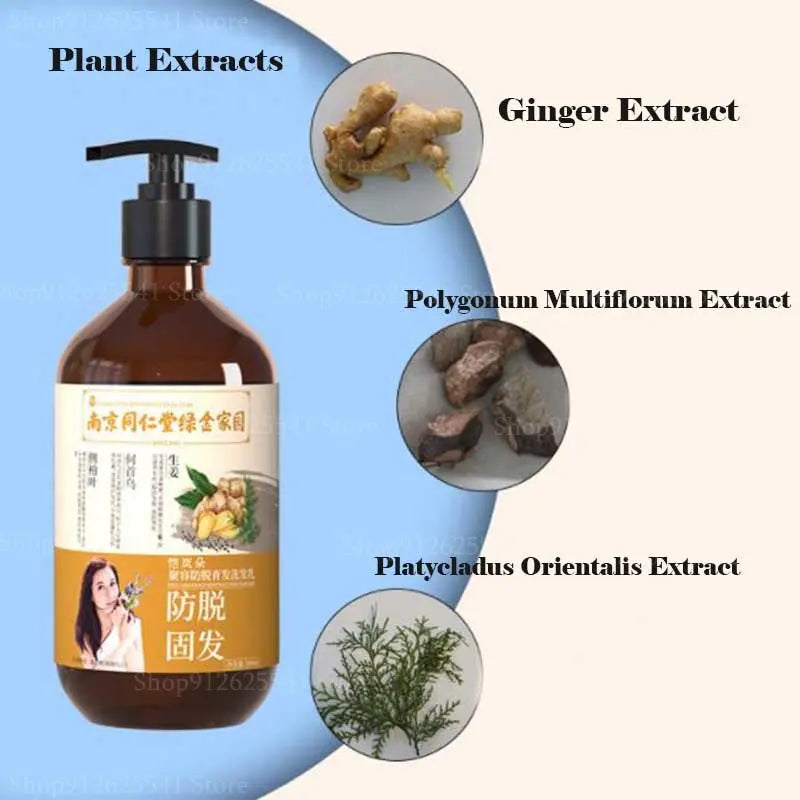 img_388657