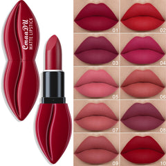 10 colors Matte Lipstick Waterproof Formula
