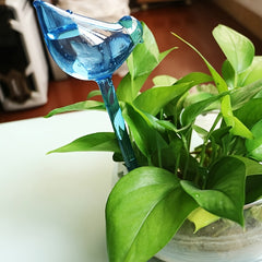 2 Pcs Plant Waterer Self Watering Globes Bird Shape Hand Blown Clear Plastic