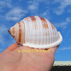 Conch Shell Aquarium Ornament Seashell Decor