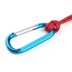 6pcs D Carabiner Snap Hook Small Keyring Camping Hiking Accessories