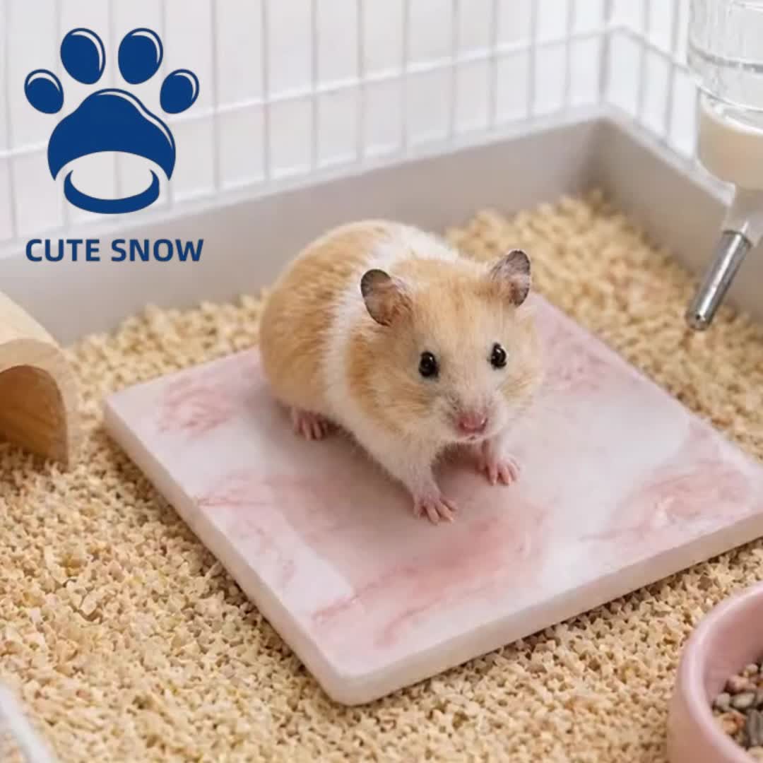 img_5360810