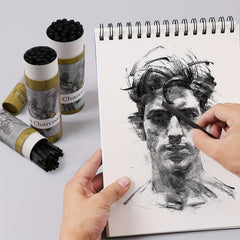 25 Willow Charcoal Sticks for Artists Sketching