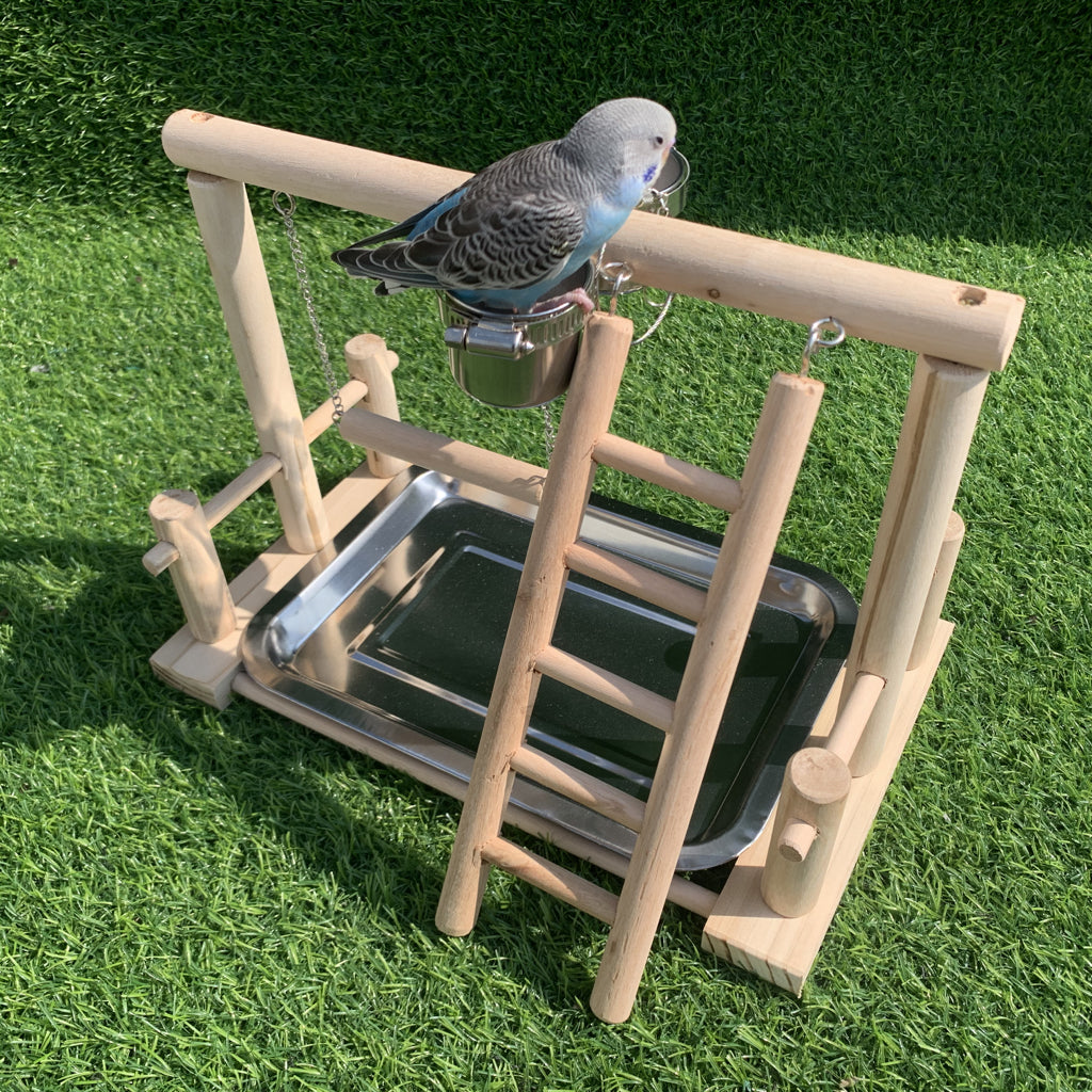 Parrot Play Stand & Swing Ladder Toy for Entertainment