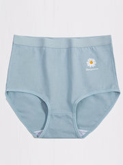 4pcs High Waist Butt Lifting Panties Women's Lingerie